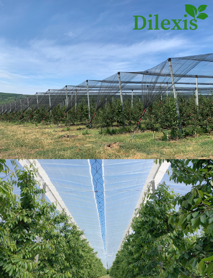 instalare sisteme de protecție-01