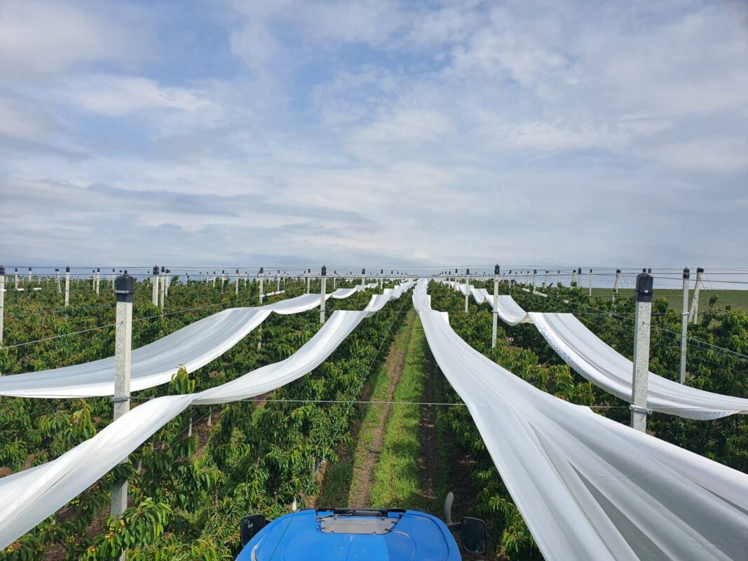 0-02-05-df8dafc406d747f65055cc77f7756d8bf72893f6230a419ece346d941b9acede_fa145ef63757d5b4