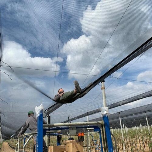 274761825_4892462160847003_7382320787696874027_n