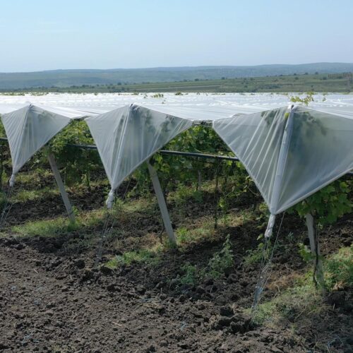 clipboard_image_a9f4bd7f03dc3147 (1)