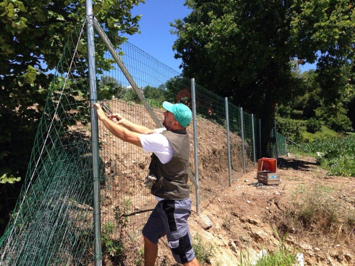 recinzioni-metalliche-29A