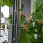 Дистанционер