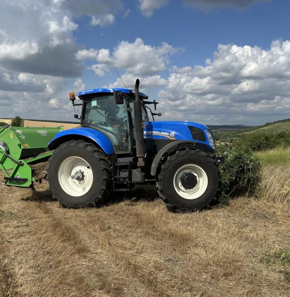 Defrișare supraterană 9