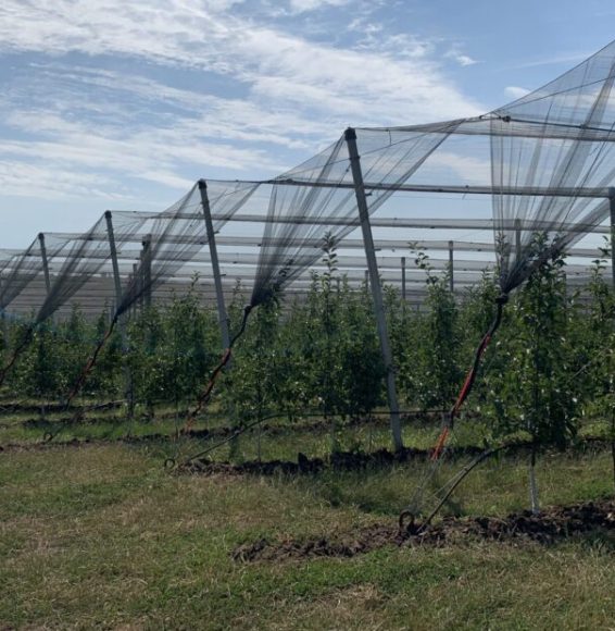 IMG_3417-scaled-e1691601496163-1024x619