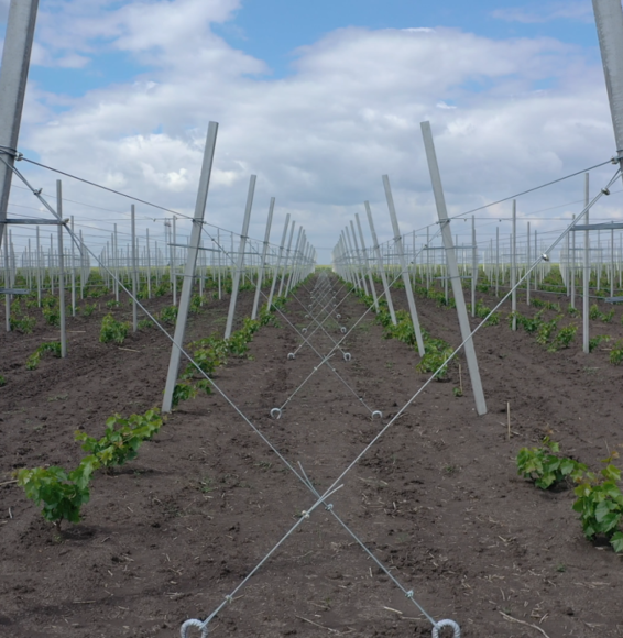 sistem de suport sait 2