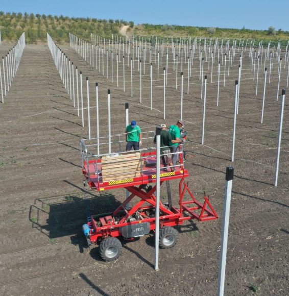 viber_image_2022-10-11_21-18-13-162-min